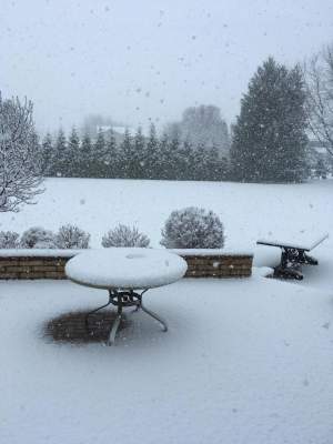 Чикаго засыпало снегом: во всем винят «Игру престолов». Фото