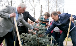 Янукович посадил ёлку