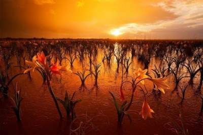 Пейзажи Намибии в объективе талантливого фотографа. Фото