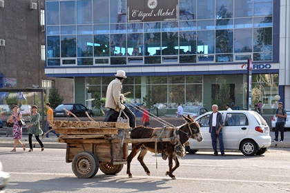 В Ташкенте регламентировали правила езды на ишаках