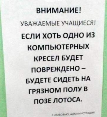 Абсурдные объявления, способные рассмешить в два счета