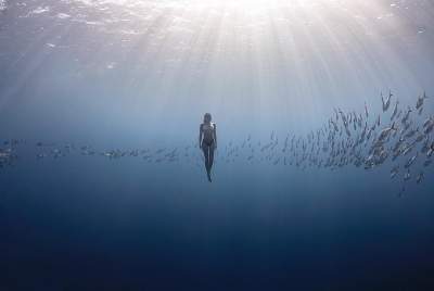 Фантастические подводные снимки от талантливого фотографа и дайвера. Фото