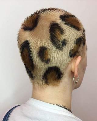 Новый тренд: леопардовый принт на волосах. Фото