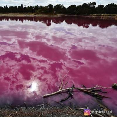Розовое озеро в Австралии в ярких снимках. Фото