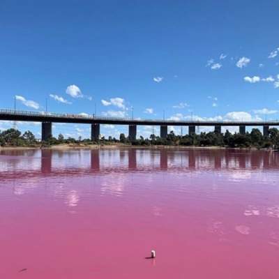 Розовое озеро в Австралии в ярких снимках. Фото