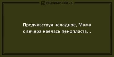 Свежие анекдоты о суеверных людях и анонимных алкоголиках 