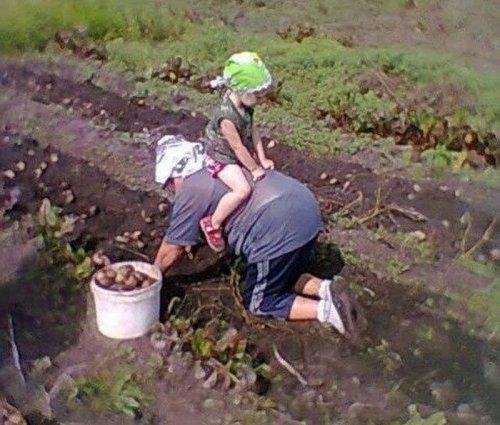 Курьезные снимки из серии «доминируй, властвуй, унижай!» (ФОТО)