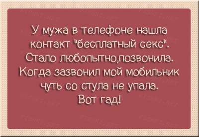 Смех до слез: забавные открытки с остроумными надписями