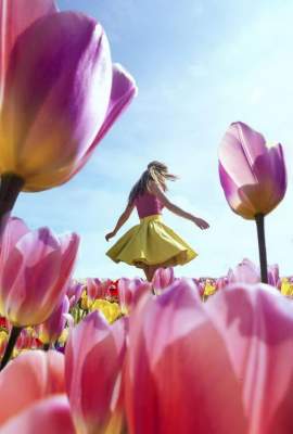 Сезон тюльпанов в Нидерландах в ярких снимках. Фото