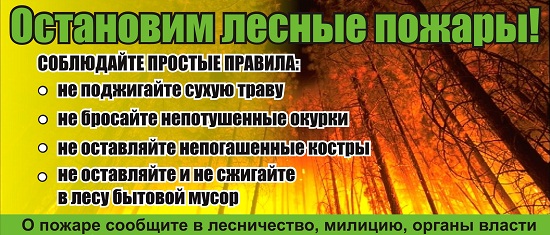 Украинцам хотят ограничить доступ в парки и леса