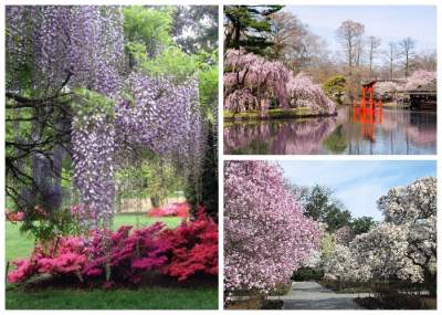 Красивейшие в мире ботанические сады. Фото