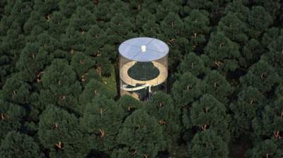 Уникальный лесной дом, построенный вокруг дерева. Фото