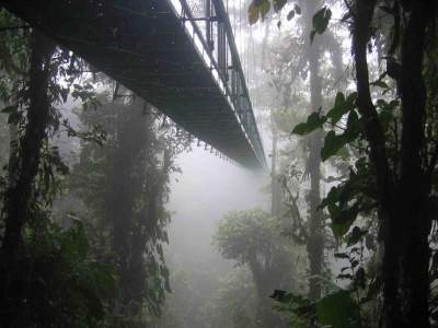 Самые необычные и пугающие мосты мира. Фото