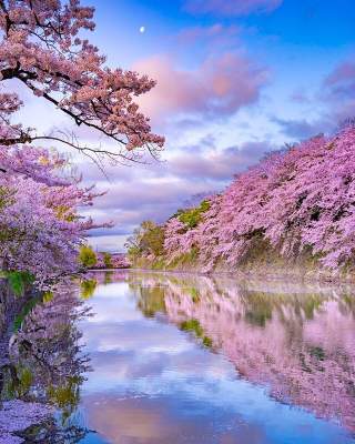 Японская природа в снимках местного фотографа. Фото