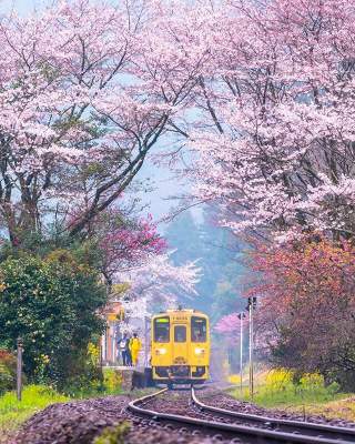 Японская природа в снимках местного фотографа. Фото
