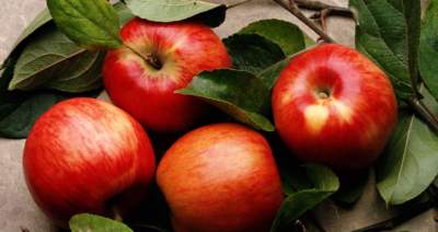Врачи объяснили, почему полезно есть яблоки каждый день