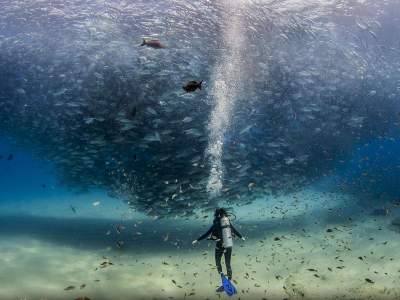 Лучшие снимки фотоконкурса National Geographic. Фото