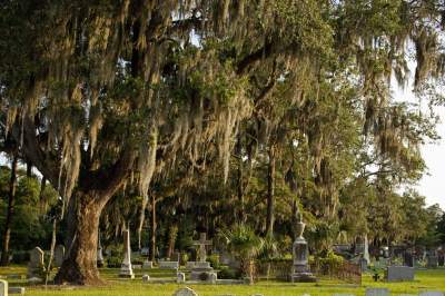 Тринадцать самых интересных кладбищ в мире. Фото 