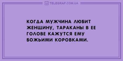 Веселые анекдоты о тараканах и девушках