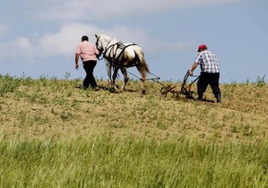 Мужчины в украинских семьях теряют роль добытчиков 