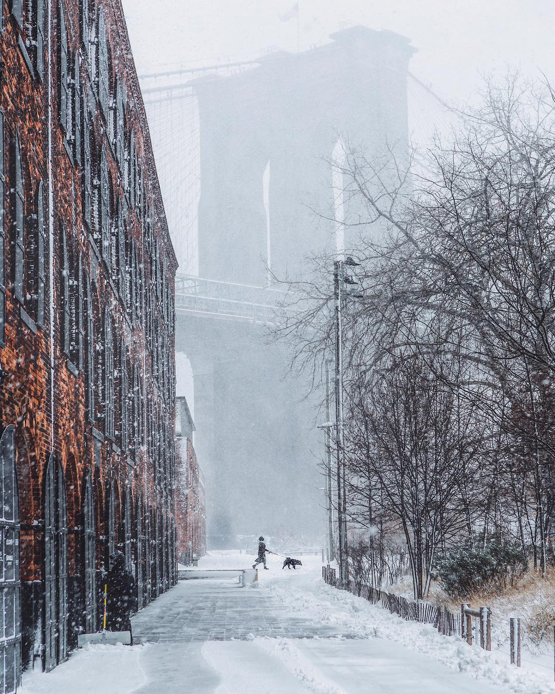 Потрясающие уличные снимки Нью-Йорка от Джейсона Ли