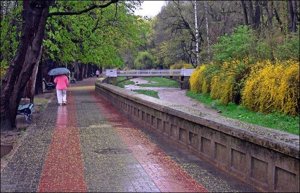 В выходные Украину зальет дождями, но будет тепло