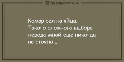 Позитивные анекдоты, которые рассмешат в конце дня