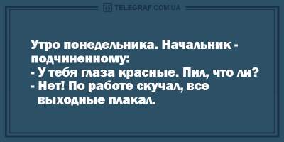 Вечерний позитив: свежая порция анекдотов