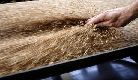 Мировые цены на пшеницу прекратили снижаться
