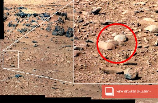 На Марсе нашли белочку 