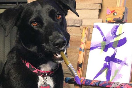 Пес пишет картины, чтобы помочь бездомным животным