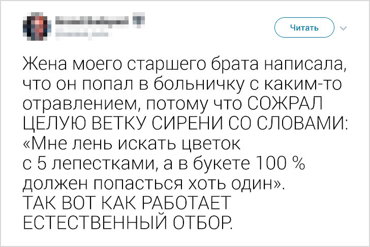 Твиты от людей, которые готовы бросить вызов лени, но потом. ФОТО