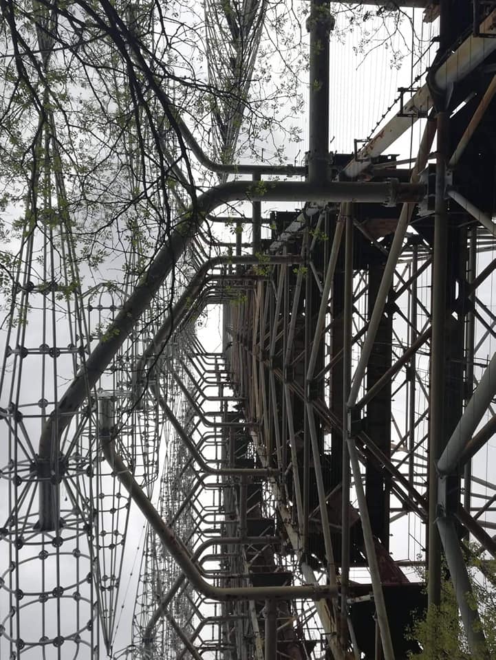 В сети показали, как весна берет власть над пейзажами вокруг Чернобыльской АЭС. ФОТО