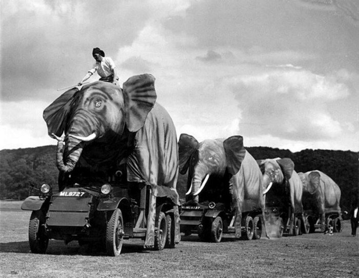 Фотостранности на исторических снимках из архива Роба Муриса