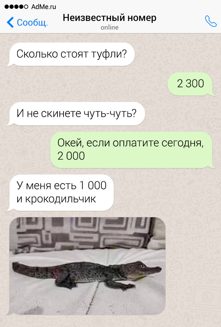 20+ человек, у которых на все есть ответ