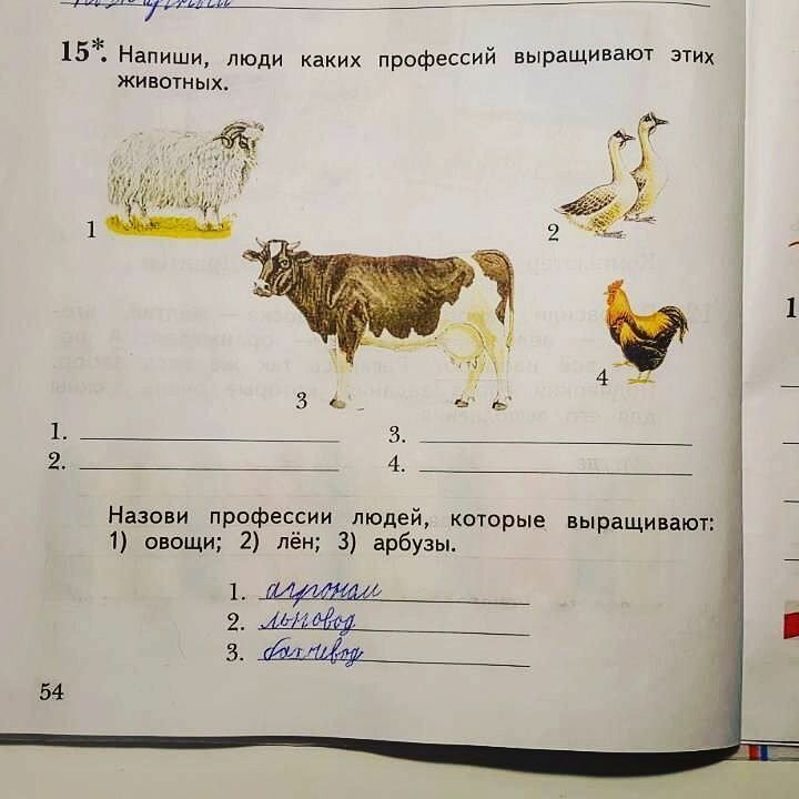 Бредовые задания из современных учебников. ФОТО