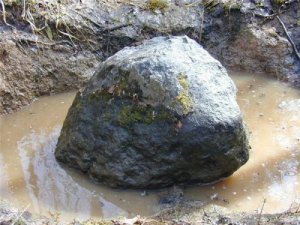 Украинские ученые объявили о находке осколков Тунгусского метеорита 