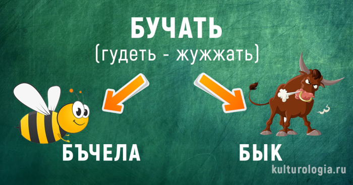 История появления некоторых современных русских слов
