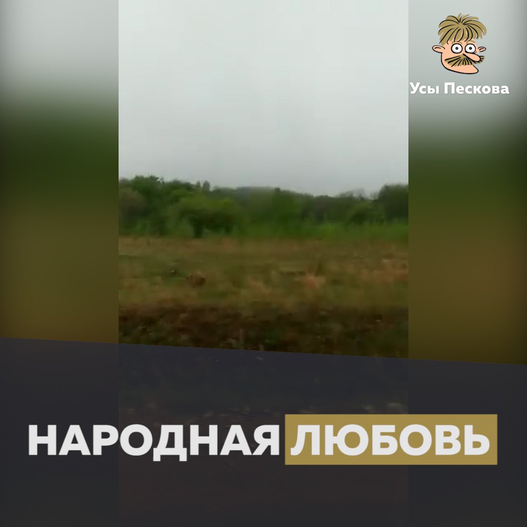 Встроенное видео