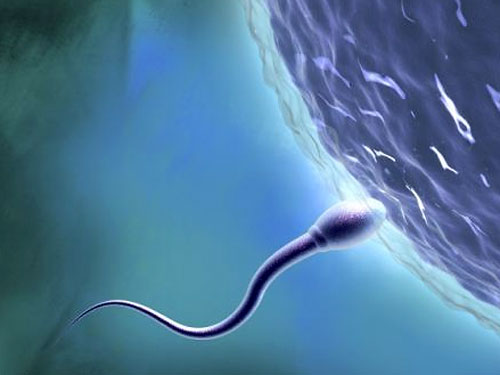 12% женщин могут погибнуть от спермы