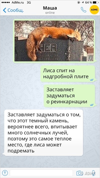 Забавные СМС о том, что женская логика — это целая наука. ФОТО