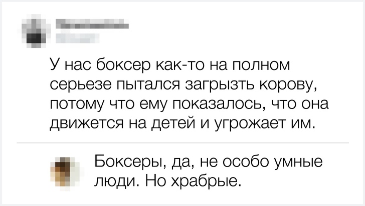 20 остроумных комментариев от тех, кто за словом в карман не лезет