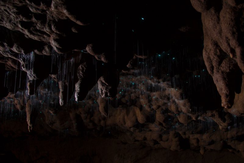 Пещеры, от красоты которых захватывает дух. Фото
