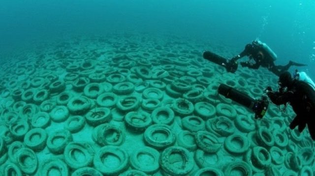 Дайверы показали, как выглядит дно Азовского моря. Фото