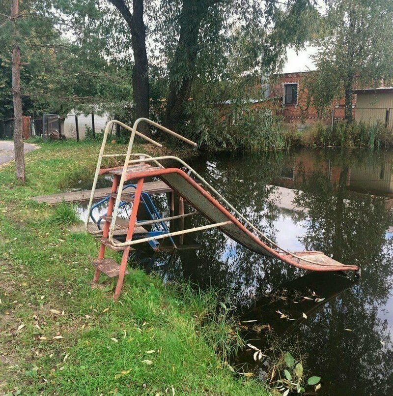 Прикольные фотки людей и животных, научившихся справляться с жарой. ФОТО