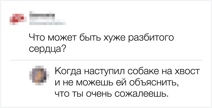 20 остроумных комментариев от тех, кто за словом в карман не лезет