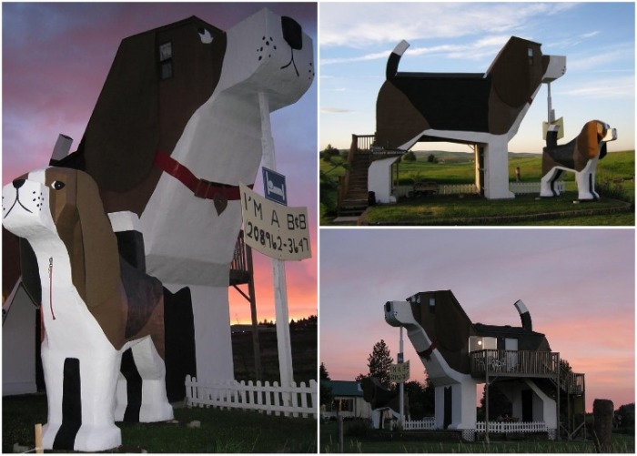  Необычная вилла в форме огромного пса Dog Bark Park расположена в городе Коттонвуд (США). | Фото: uniqhotel.ru.