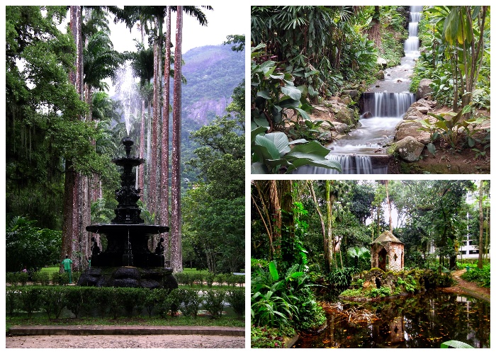 Один из старейших ботанических садов мира (Rio de Janeiro Botanical Garden). | Фото: ru.wikipedia.org.