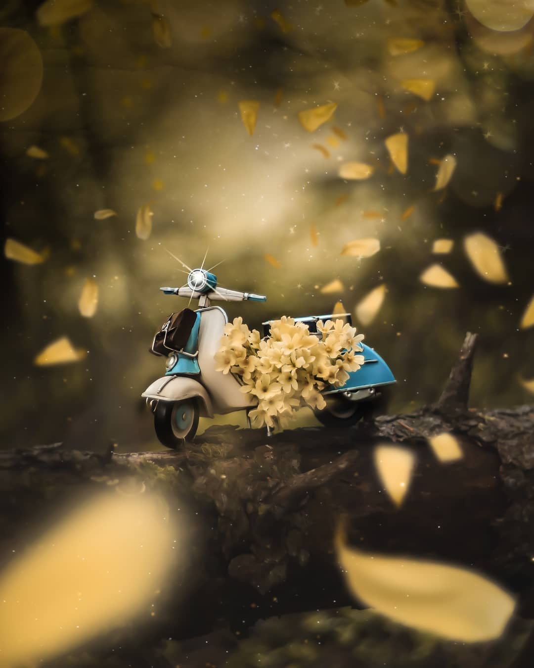 Замечательные цветы Питера Висса макро,природа,фотография