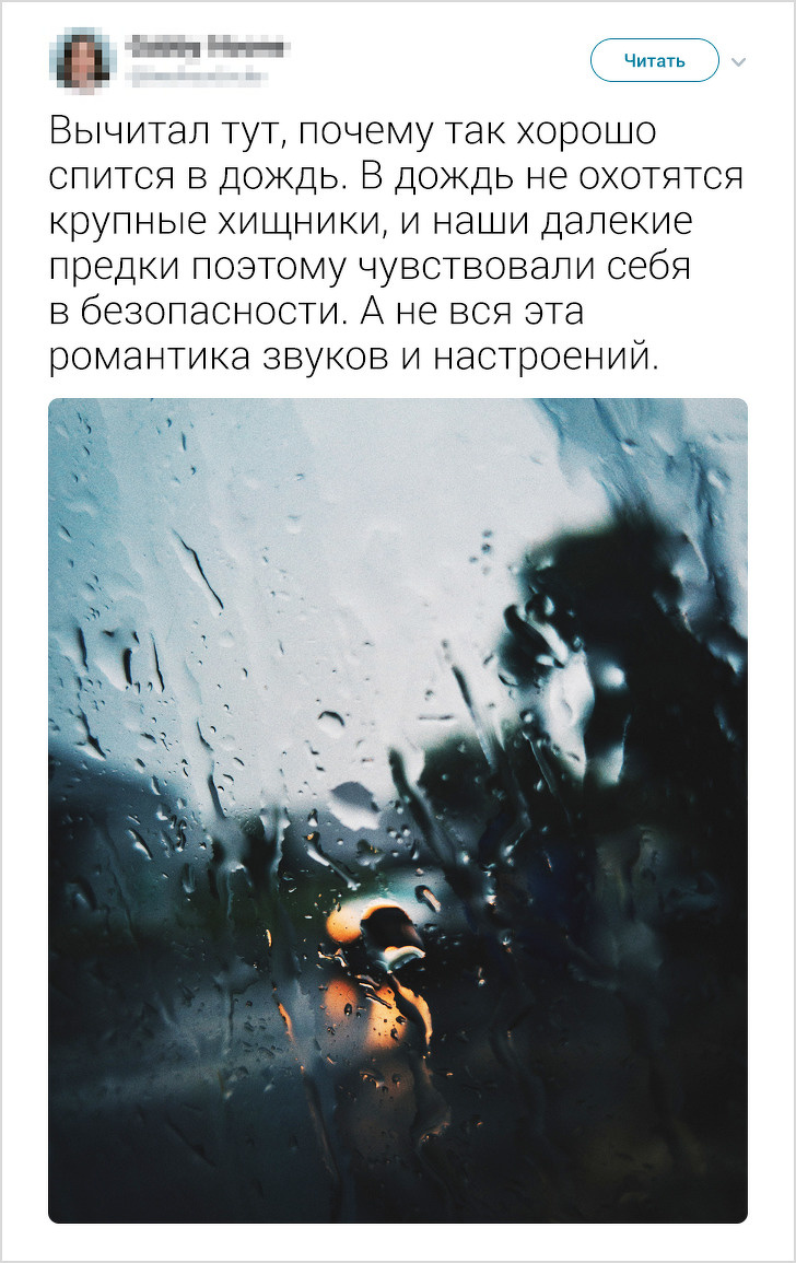 15 твитов и комментариев о проблемах настоящего, которые не принято обсуждать